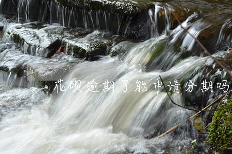 花呗逾期了能申请分期吗 花呗逾期了能申请分期吗