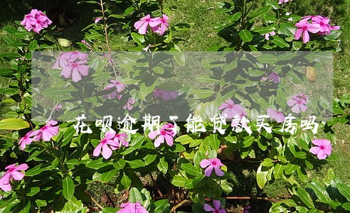 花呗逾期了能贷款买房吗 花呗逾期了能贷款买房吗