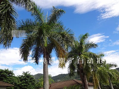 花呗逾期了自动扣款 花呗逾期了自动扣款