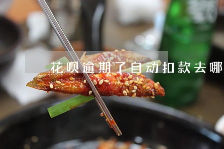 花呗逾期了自动扣款去哪里投诉 花呗逾期了自动扣款去哪里投诉