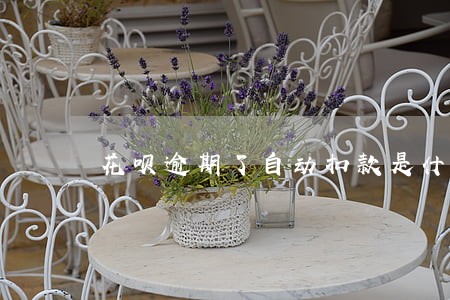 花呗逾期了自动扣款是什么时间 花呗逾期了自动扣款是什么时间