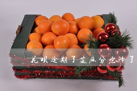 花呗逾期了芝麻分也降了 花呗逾期了芝麻分也降了