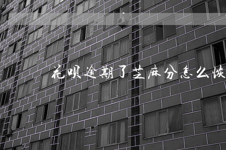 花呗逾期了芝麻分怎么恢复 花呗逾期了芝麻分怎么恢复