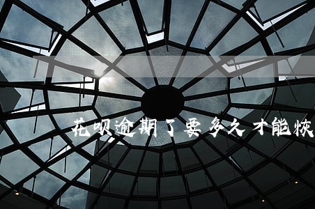 花呗逾期了要多久才能恢复 花呗逾期了要多久才能恢复