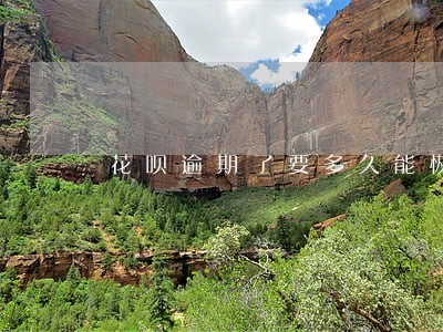花呗逾期了要多久能恢复吗