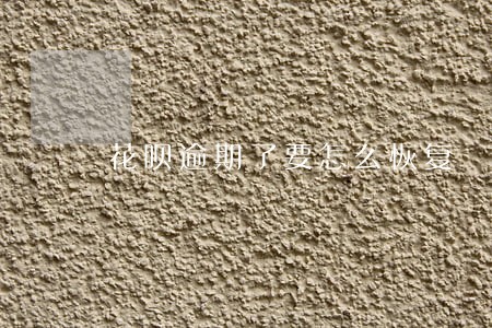花呗逾期了要怎么恢复 花呗逾期了要怎么恢复
