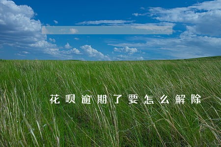 花呗逾期了要怎么解除 花呗逾期了要怎么解除