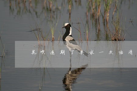 花呗逾期了要求一次结清 花呗逾期了要求一次结清