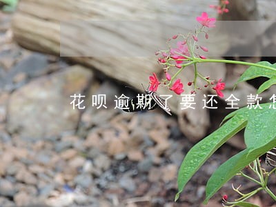 花呗逾期了要还全款怎么办 花呗逾期了要还全款怎么办