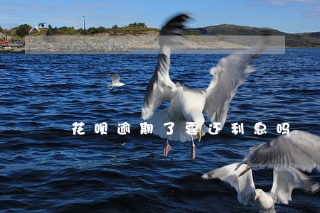 花呗逾期了要还利息吗 花呗逾期了要还利息吗