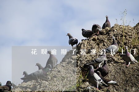 花呗逾期了警察会找上门吗 花呗逾期了警察会找上门吗
