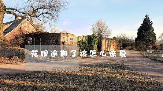 花呗逾期了该怎么恢复
