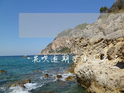 花呗逾期了说立案了 花呗逾期了说立案了