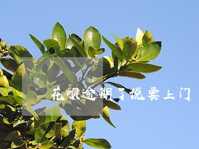 花呗逾期了说要上门 花呗逾期了说要上门