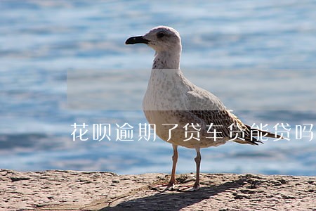 花呗逾期了贷车贷能贷吗
