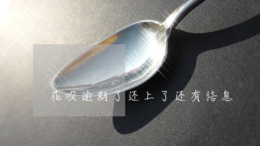 花呗逾期了还上了还有信息 花呗逾期了还上了还有信息