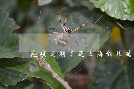 花呗逾期了还上海能用吗 花呗逾期了还上海能用吗
