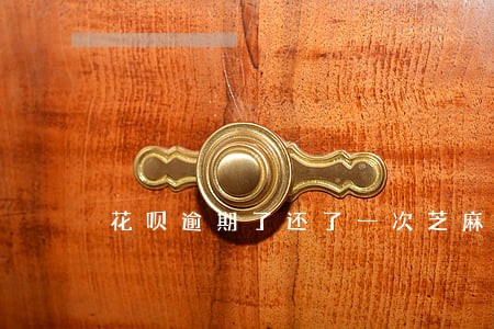花呗逾期了还了一次芝麻分还涨了 花呗逾期了还了一次芝麻分还涨了
