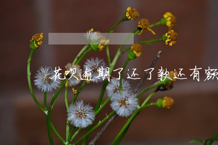 花呗逾期了还了款还有额度 花呗逾期了还了款还有额度
