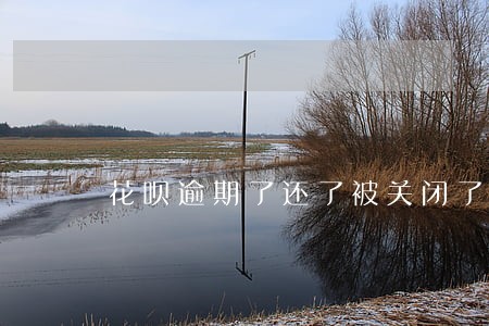 花呗逾期了还了被关闭了 花呗逾期了还了被关闭了
