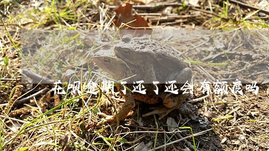 花呗逾期了还了还会有额度吗 花呗逾期了还了还会有额度吗