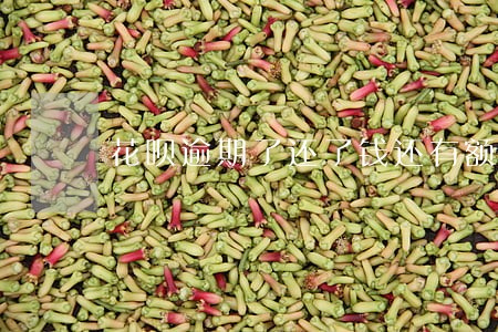 花呗逾期了还了钱还有额度吗 花呗逾期了还了钱还有额度吗
