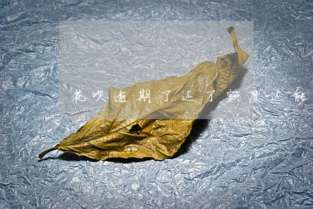 花呗逾期了还了额度还能用吗 花呗逾期了还了额度还能用吗