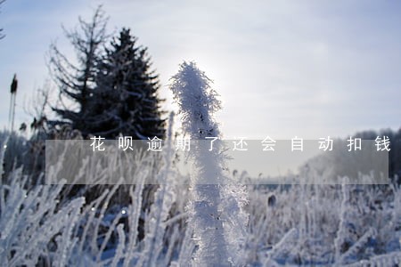 花呗逾期了还会自动扣钱吗 花呗逾期了还会自动扣钱吗