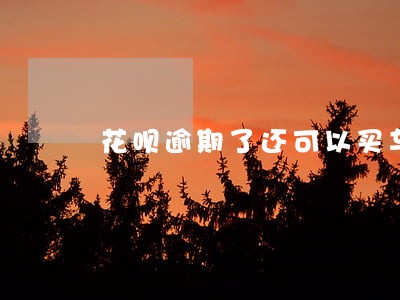 花呗逾期了还可以买车吗