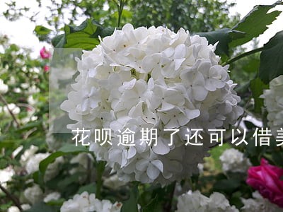 花呗逾期了还可以借美团上面钱吗
