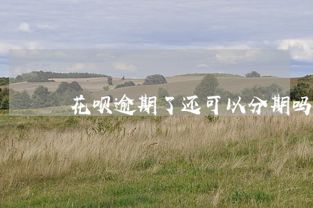 花呗逾期了还可以分期吗 花呗逾期了还可以分期吗