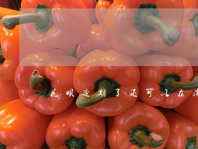 花呗逾期了还可以在淘宝买东西吗