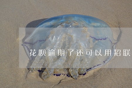 花呗逾期了还可以用招联好期贷吗