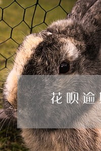 花呗逾期了还可以申请分期吧 花呗逾期了还可以申请分期吧