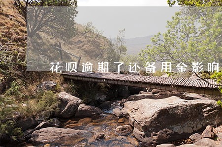 花呗逾期了还备用金影响不 花呗逾期了还备用金影响不