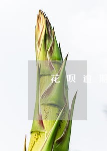 花呗逾期了还完额度还有吗 花呗逾期了还完额度还有吗