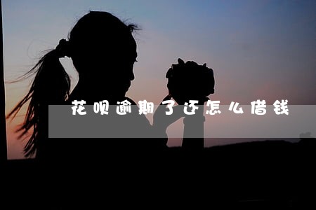 花呗逾期了还怎么借钱 花呗逾期了还怎么借钱