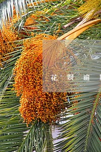 花呗逾期了还有什么后果