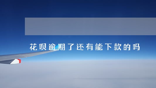 花呗逾期了还有能下款的吗 花呗逾期了还有能下款的吗