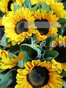 花呗逾期了还款后能恢复吗 花呗逾期了还款后能恢复吗