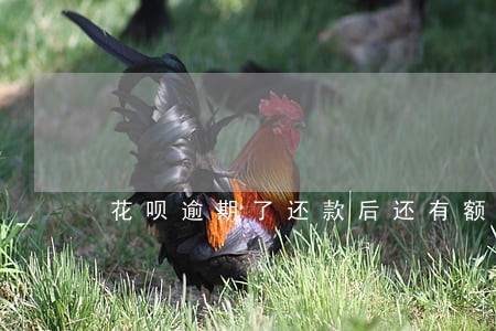 花呗逾期了还款后还有额度么 花呗逾期了还款后还有额度么