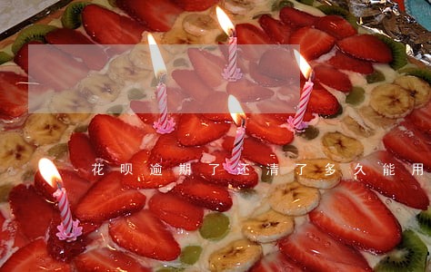 花呗逾期了还清了多久能用 花呗逾期了还清了多久能用
