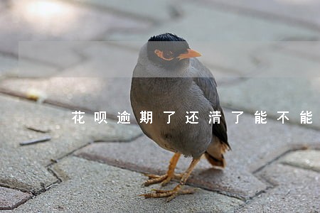 花呗逾期了还清了能不能用了 花呗逾期了还清了能不能用了
