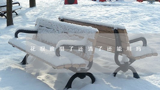 花呗逾期了还清了还能用吗 花呗逾期了还清了还能用吗