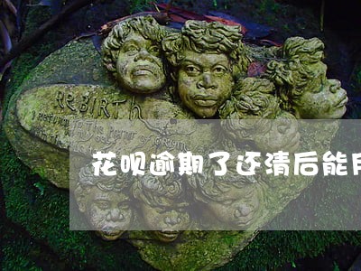 花呗逾期了还清后能用分期乐吗 花呗逾期了还清后能用分期乐吗