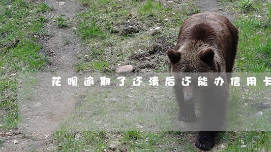 花呗逾期了还清后还能办信用卡吗
