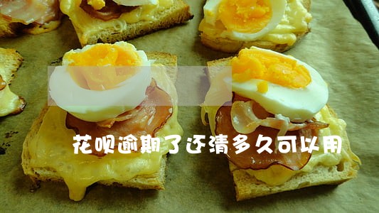 花呗逾期了还清多久可以用 花呗逾期了还清多久可以用