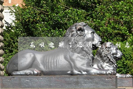 花呗逾期了还清还要利息吗 花呗逾期了还清还要利息吗