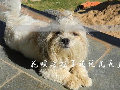 花呗逾期了还玩几天后会恢复 花呗逾期了还玩几天后会恢复