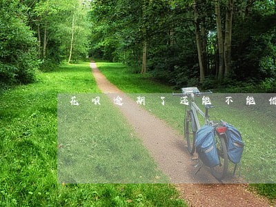 花呗逾期了还能不能借到网贷 花呗逾期了还能不能借到网贷